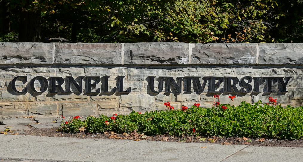 Universidad de Cornell en Nueva York