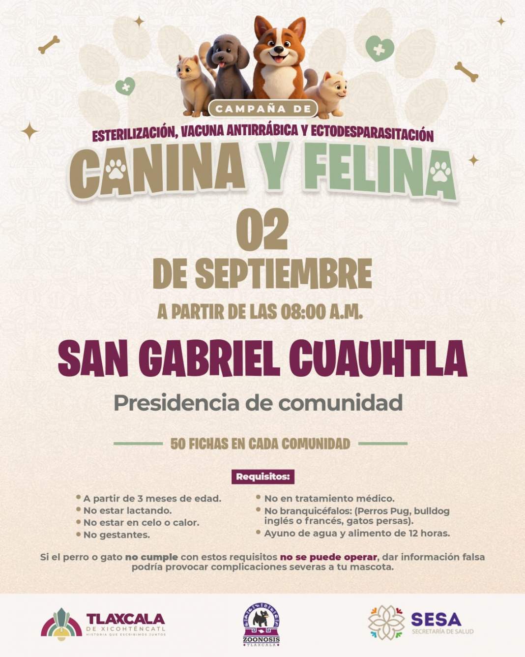Personal de bienestar animal atiende a perros y gatos durante una jornada gratuita en Tlaxcala.