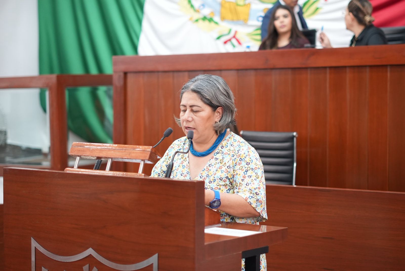 Busca Blanca Águila blindar salud materna, herbolaria y recursos públicos en el Congreso de Tlaxcala