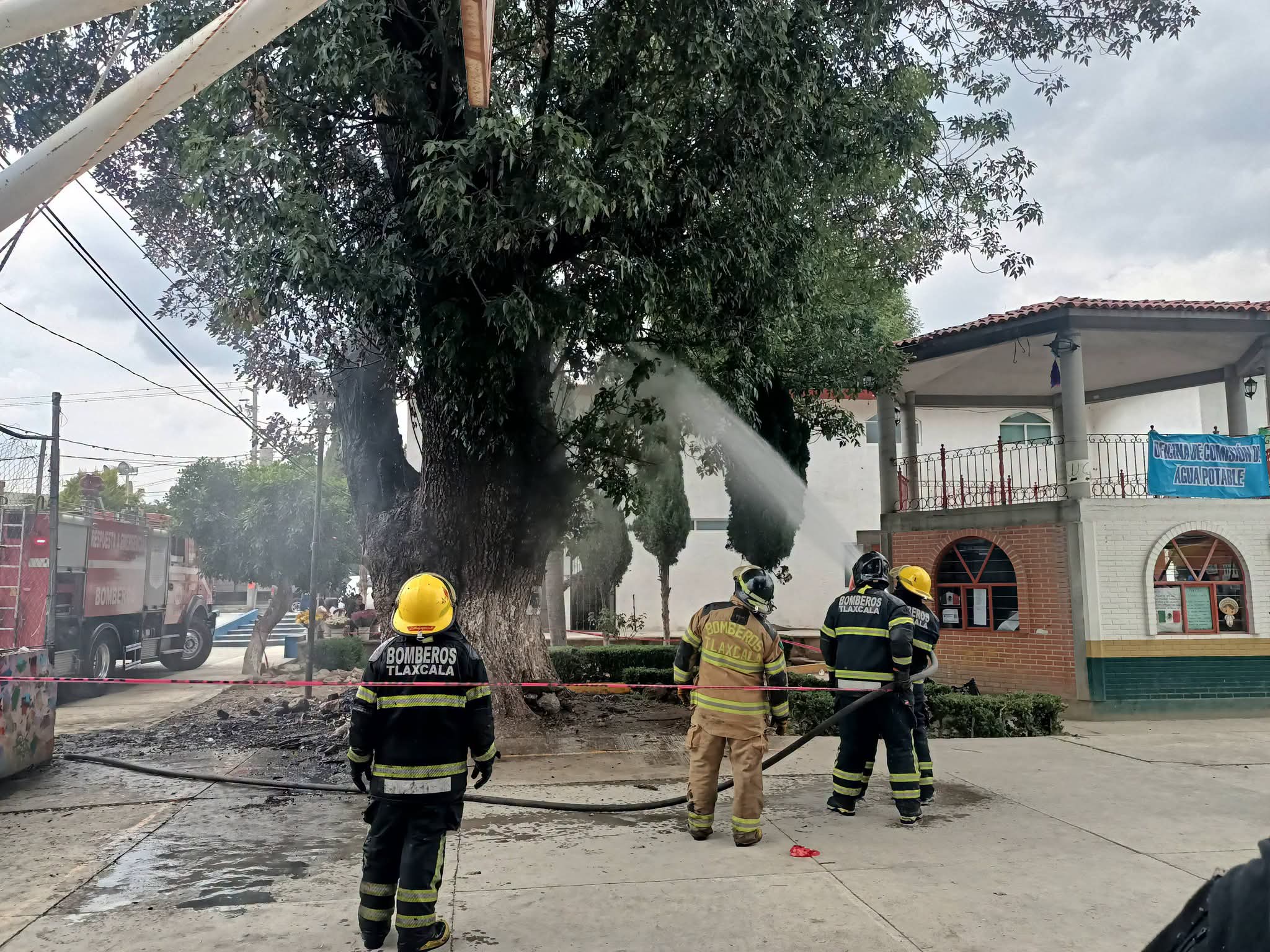 Presunto ecocidio en La Trinidad Tenexyecac: Incendian histórico fresno de la plazuela principal