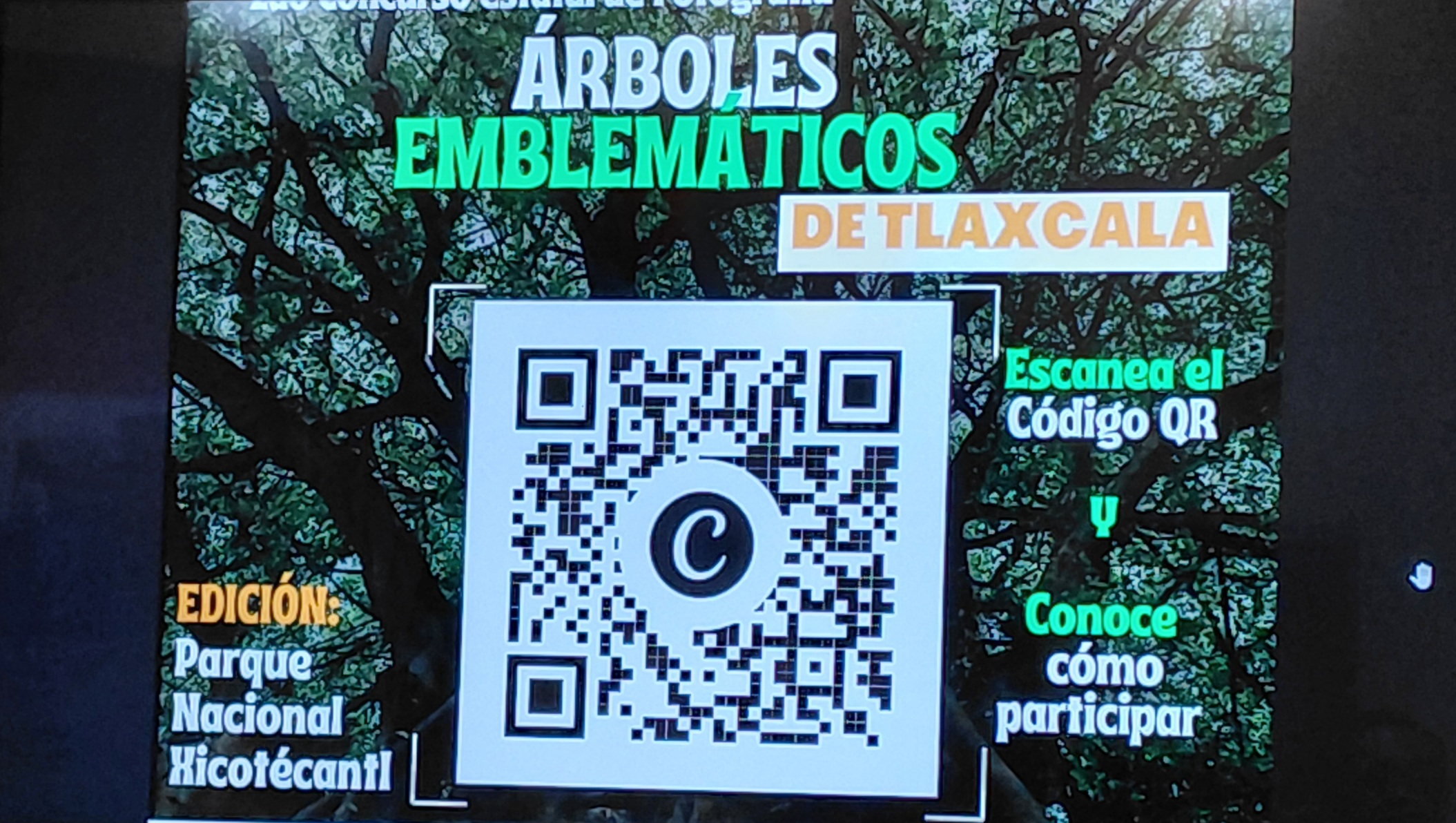 qrarboles
