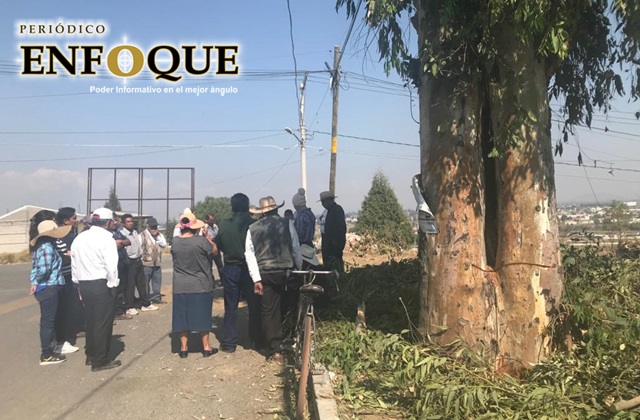 Acusan en San Francisco Ocotlán que Antonio Teutli permite derribo de árboles