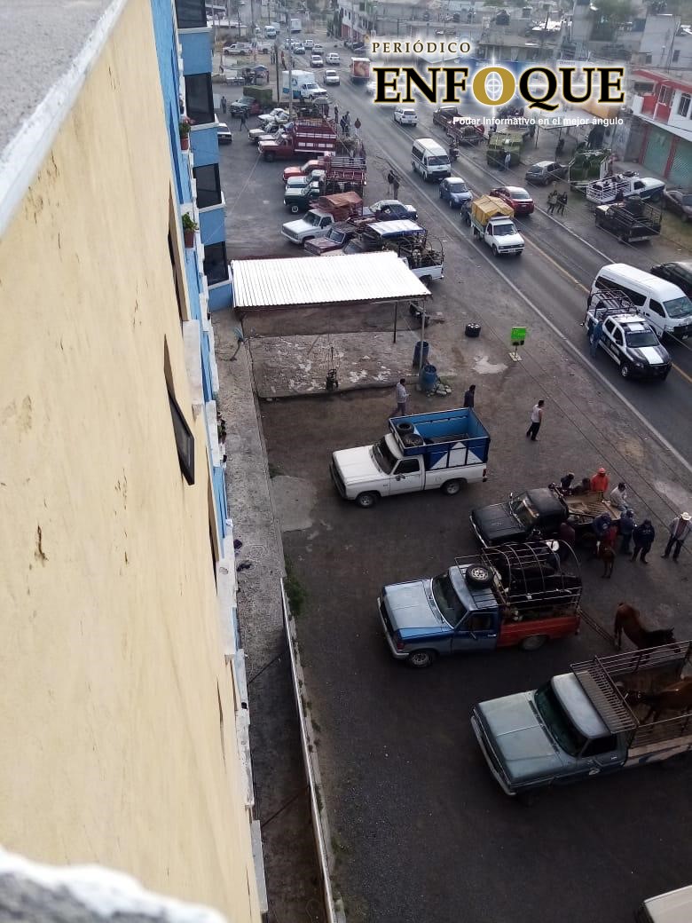 Cierran tianguis de ganado en Villa Alta, comerciantes se instalan sobre la carretera Federal Tlaxcala Texmelucan 