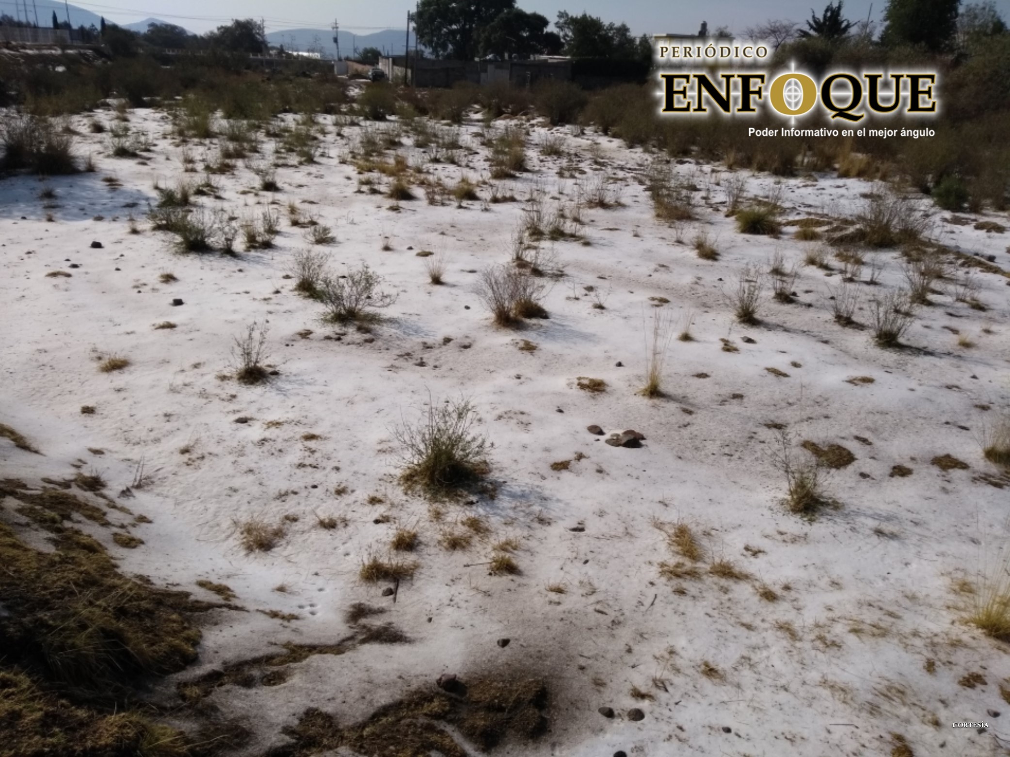 Hectáreas de  Durazno y Ciruela las principales afectadas por la granizada en Acajete