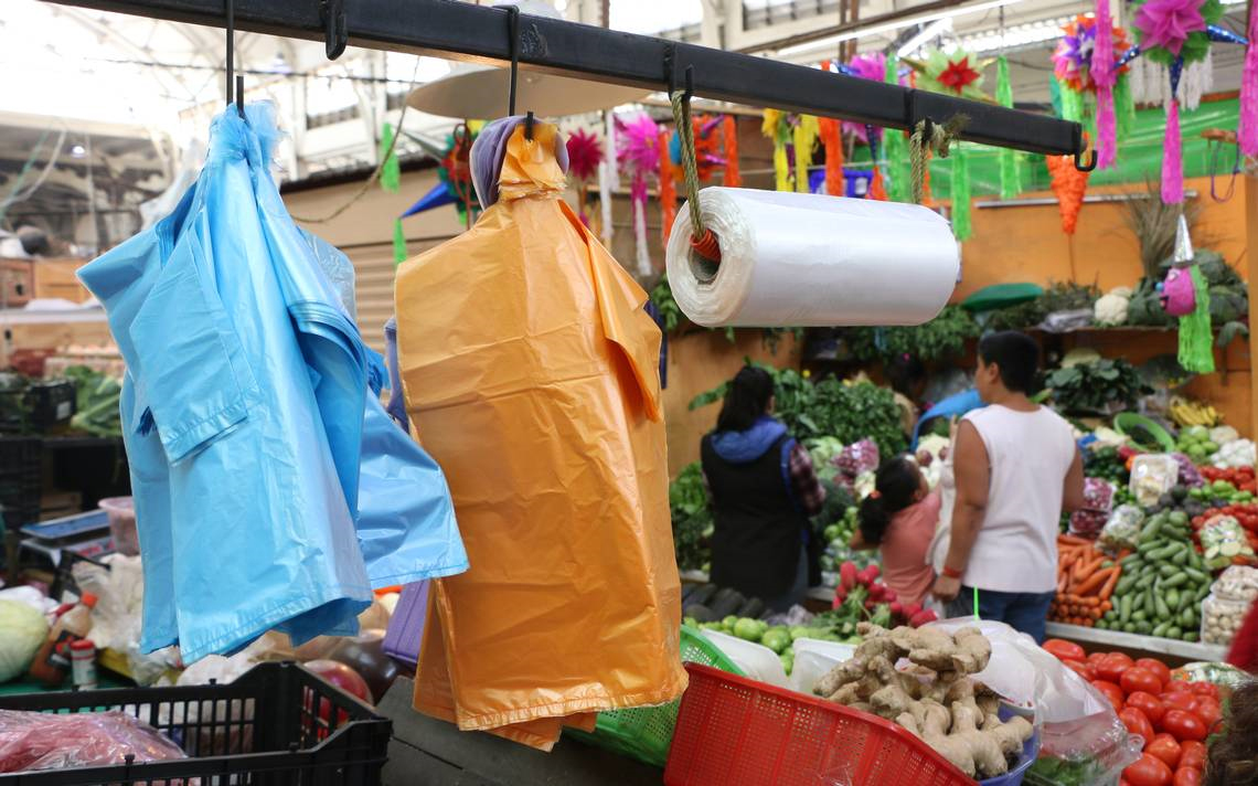 Multas por uso de bolsas de plástico entraran en vigor dentro de seis meses