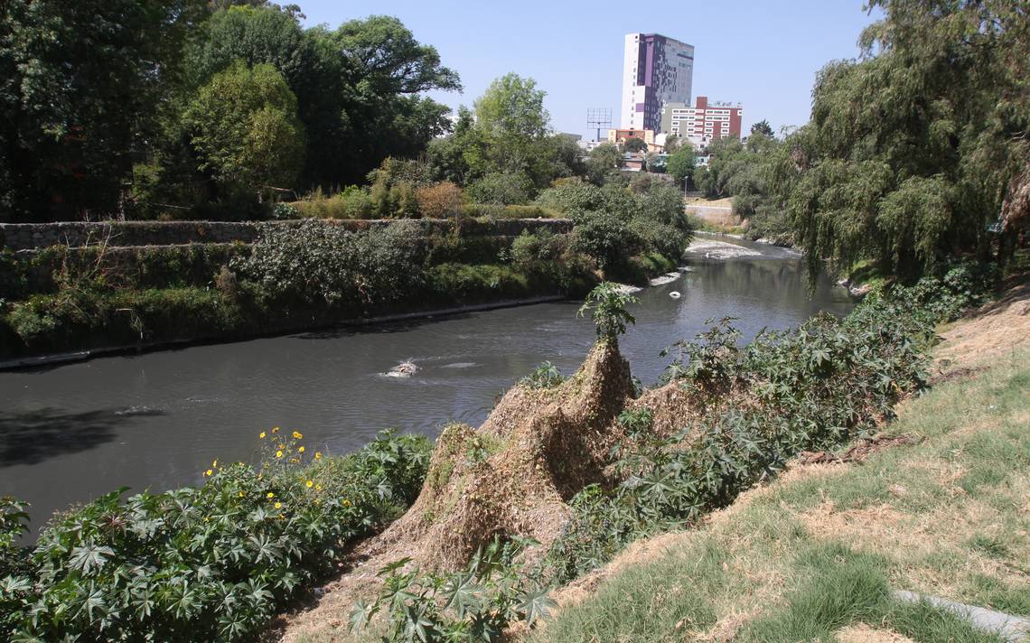 Tec de Monterrey invita a unirse a proyecto de rescate del Rio Atoyac