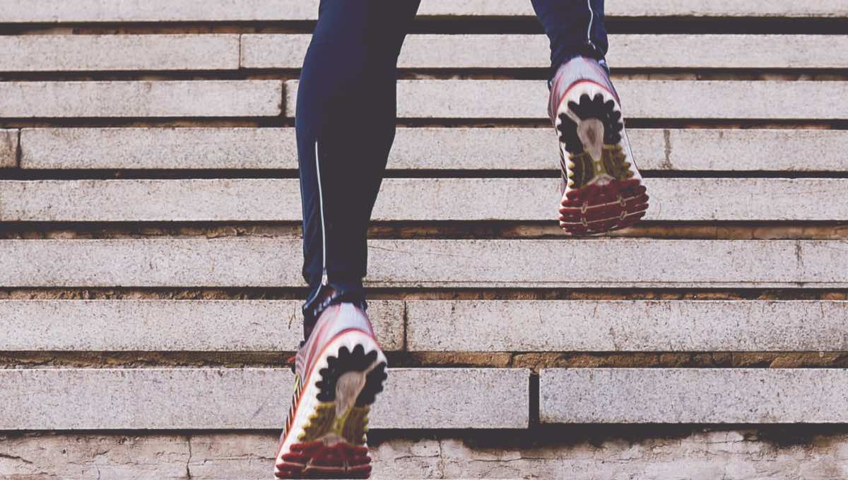 ¿Quieres bajar de peso? Estos son los pasos que debes dar en el día