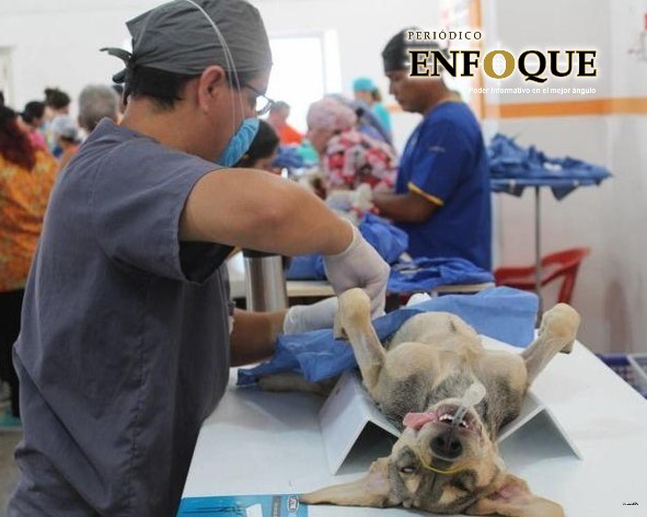 Regresa Esterilitón a Tlaxcala