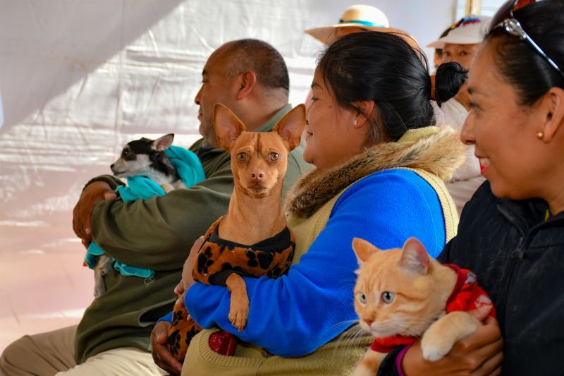 Ayuntamiento de Cuautlancingo invita a vacunar a perros y gatos contra la rabia.