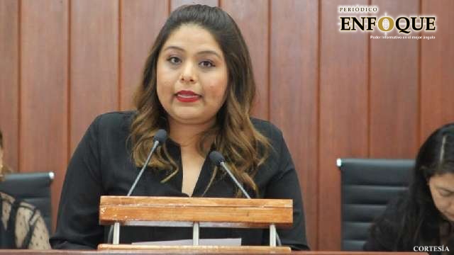 Sector de diputados buscan impugnar reforma electoral al ITE