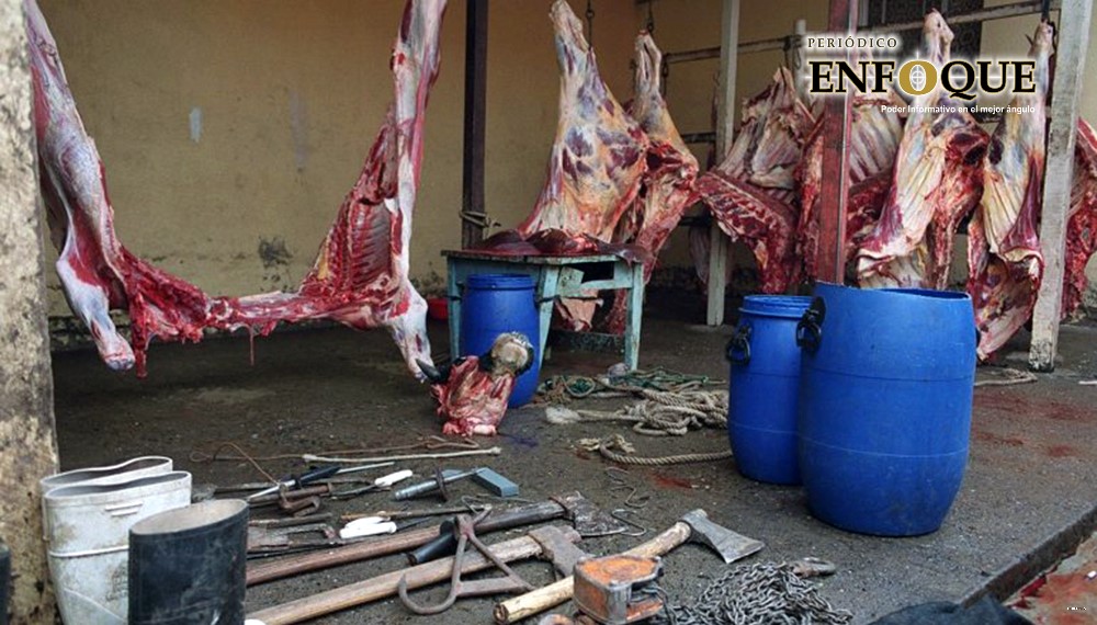 Mataderos clandestinos venden el 60 por ciento de la carne que se consume en Puebla