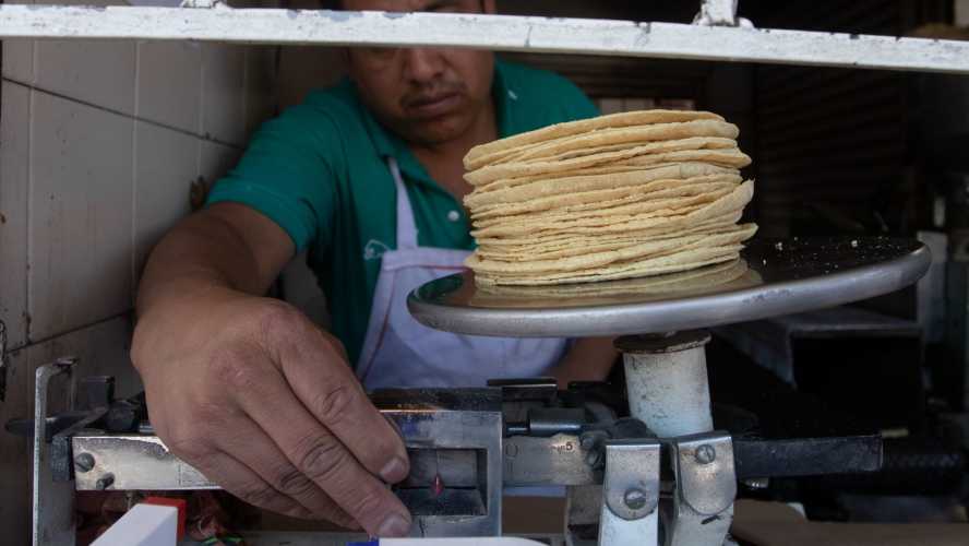 Buenas noticias: la tortilla no subirá de precio para fin de año
