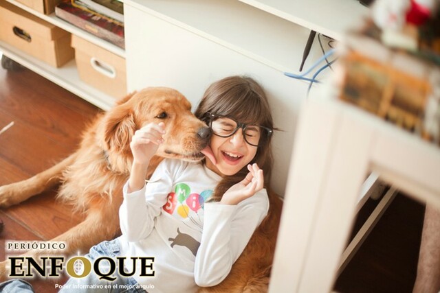 5 Razones por las que tu perro te lame, según la ciencia