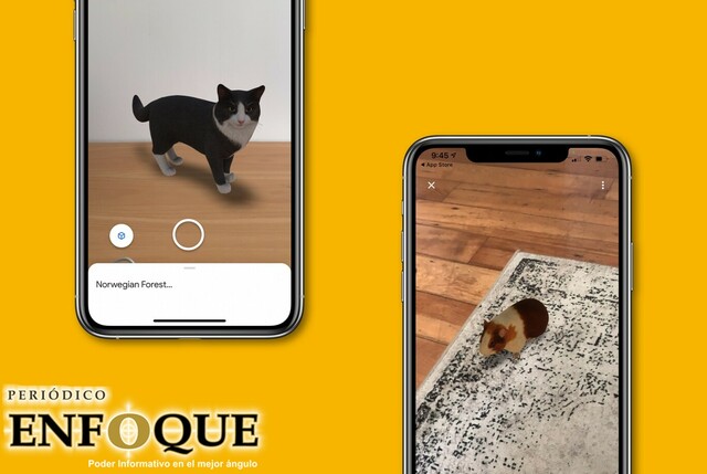Google agrega más de 50 animales en realidad aumentada para ver desde tu cámara 