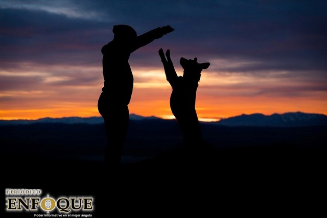 Beneficios de tener mascotas en la familiaBeneficios de tener mascotas en la familia