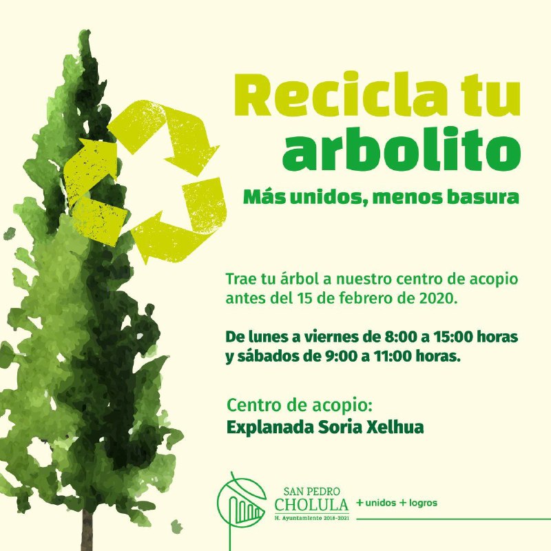 Abre gobierno de San Pedro Cholula centro de acopio de árboles de navidad