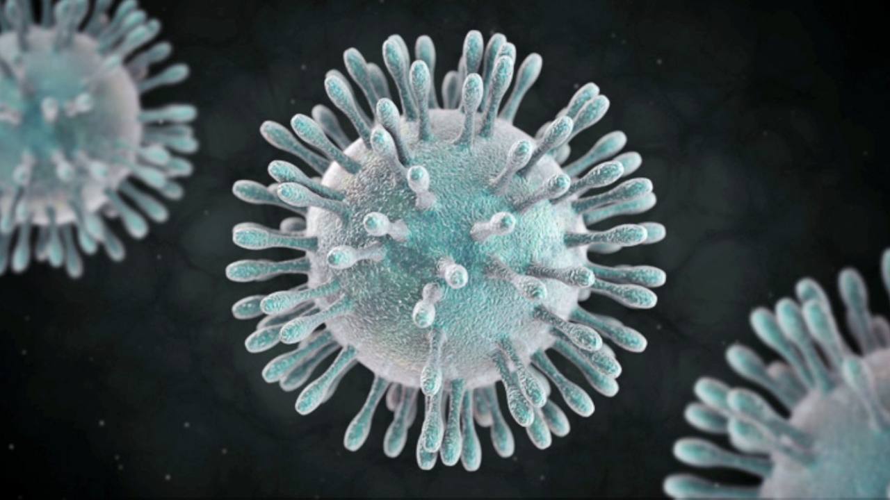 OMS descarta, por ahora, declarar emergencia por coronavirus