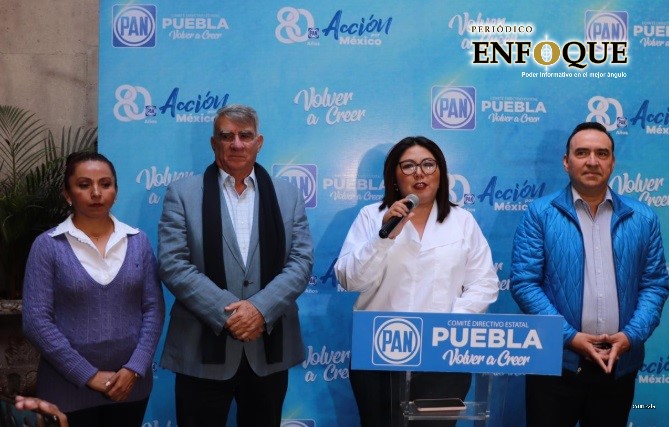 PAN apoyará amparos contra el Insabi (Video)