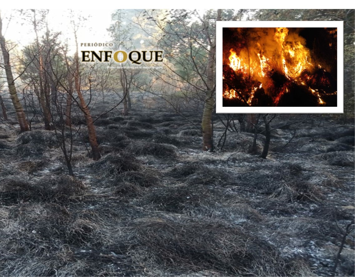 Inicia la temporada de incendios forestales en Acajete