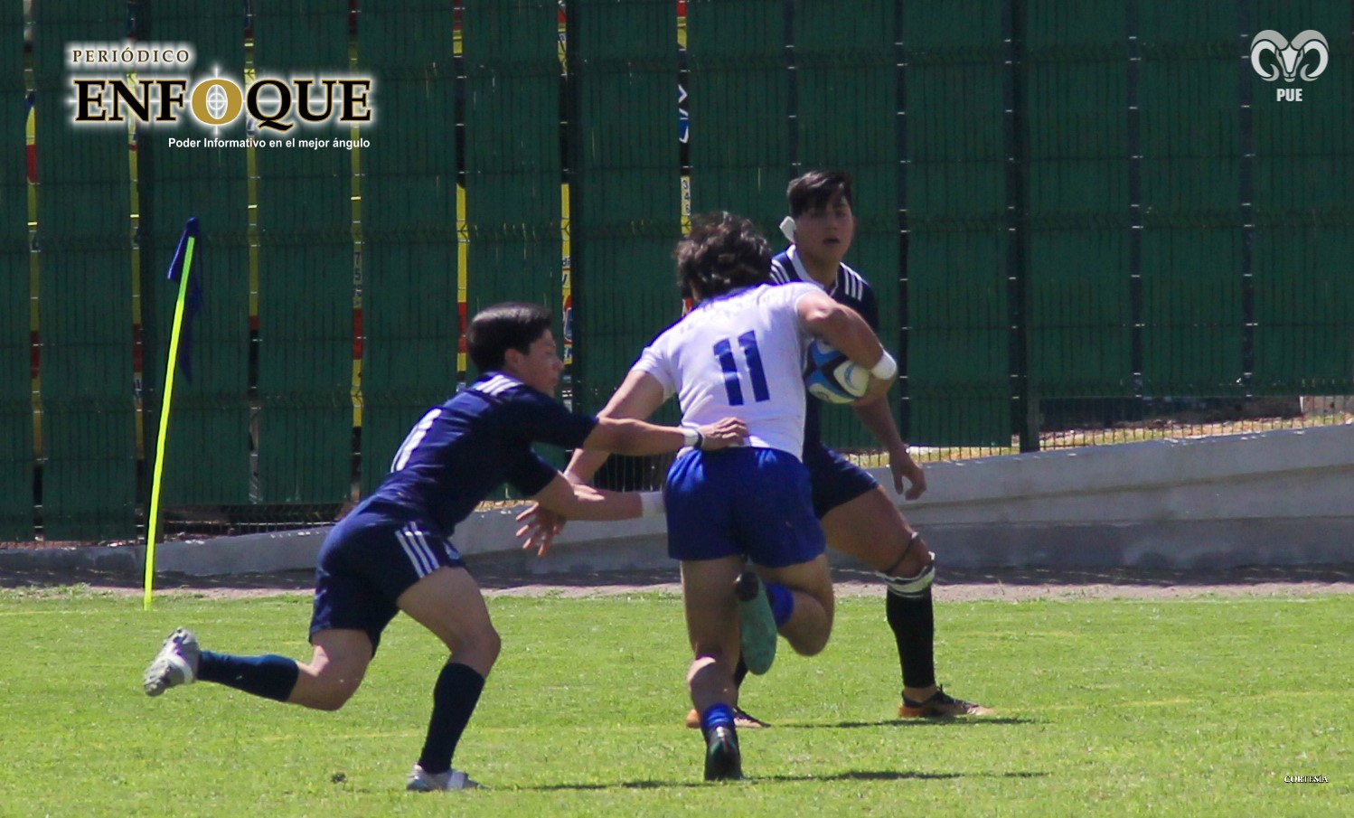 Borregos Puebla va a la UNAM por su pase a semis del Nacional de Rugby 