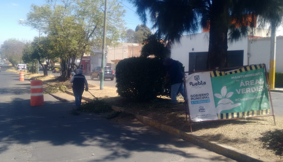 Claudia Rivera invirtió 29 millones de peso para mantenimiento de áreas verdes