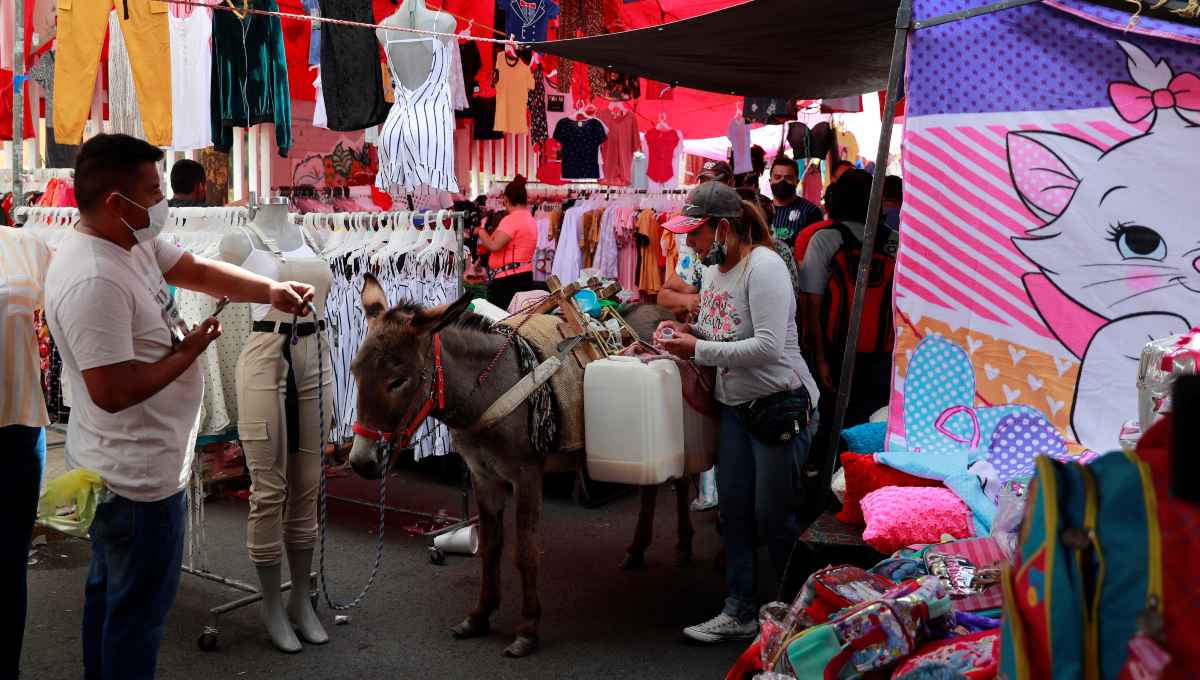 Recuperación económica de México empieza este mes: AMLO