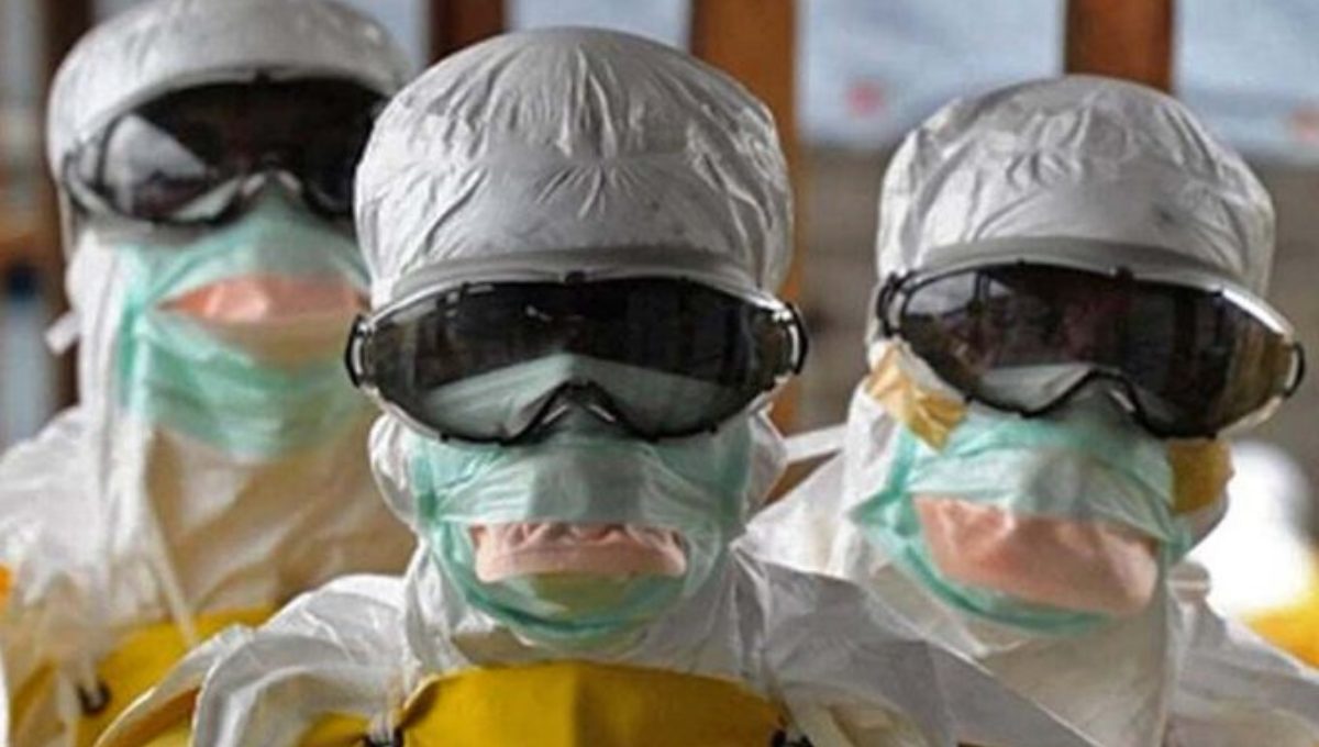 Peste medieval: ¿Qué es la peste bubónica y cómo se manifiesta en el ser humano?