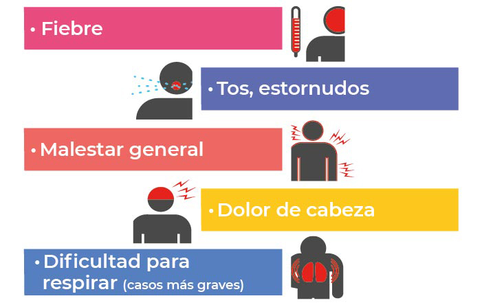 ¿Cuáles son los síntomas del coronavirus?