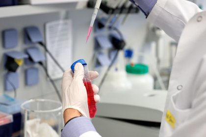 México buscará el acceso temprano a la vacuna contra COVID-19: López-Gatell