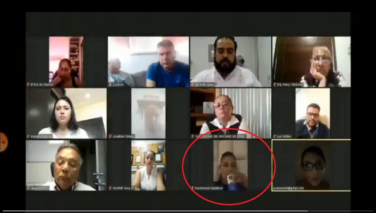 Cachan a diputada con una cerveza en plena reunión virtual (Video)