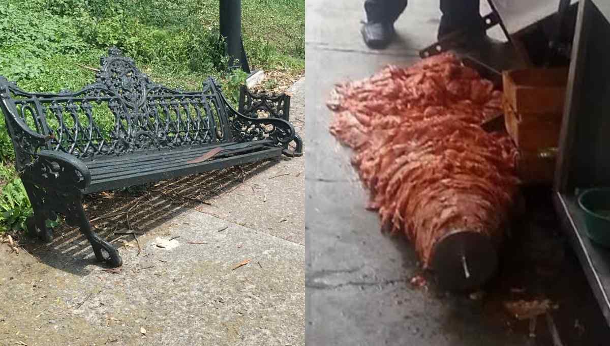 “Se está viniendo abajo nuestro país”: Se burlan con memes de tuit de Claudio X. González