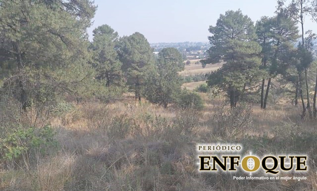 Seguirá reforestación del cerro Zapotecas en San Pedro Cholula: Arriaga Lila 