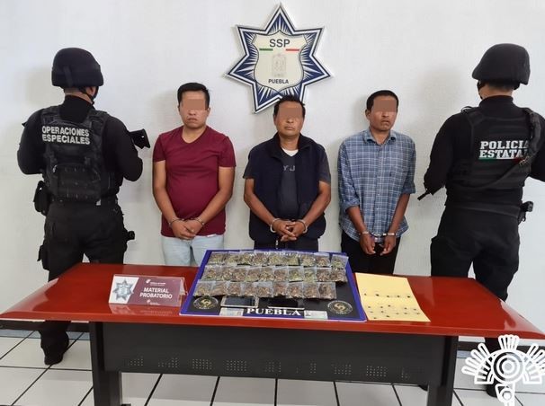 SSP captura en Amozoc a banda dedicada al robo de vehículos 