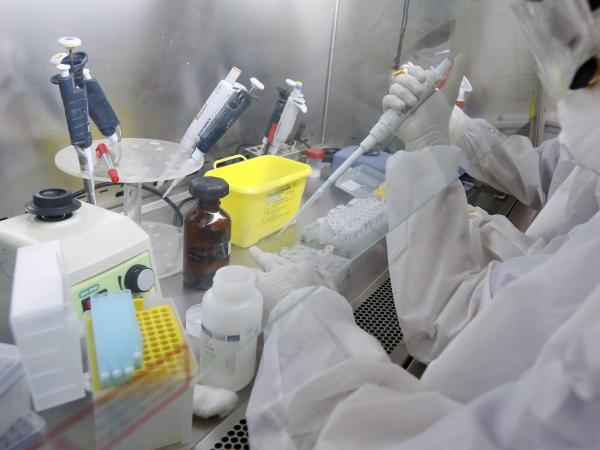 Pfizer y BioNTech inician ensayo de fase final para vacuna experimental contra el COVID-19