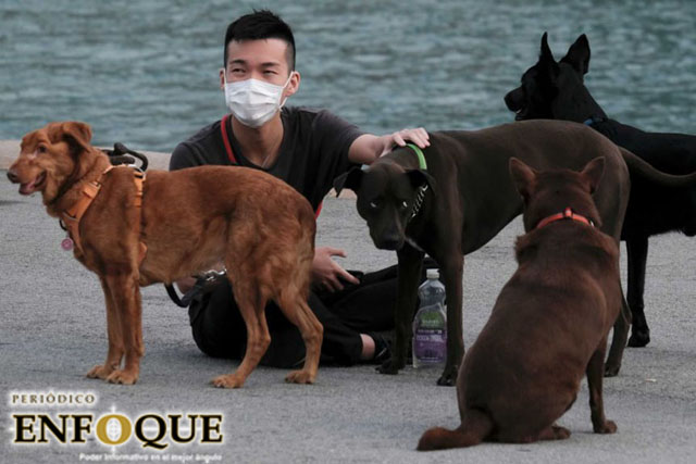 China prohíbe la crianza de perros para consumo humano