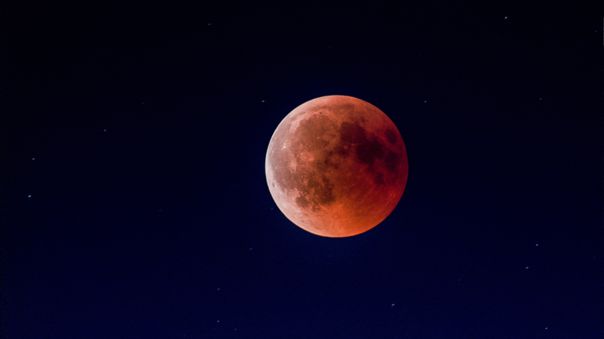 Una Luna de 'fresa', un buen vino, una linda película y otras noticias para que te olvides del COVID-19