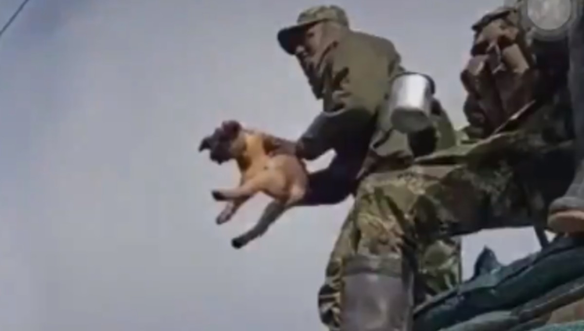 Indignante: Captan a militares maltratando a un perrito “por diversión”