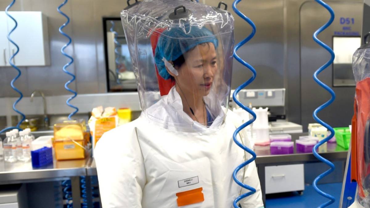 ‘Mujer murciélago’ de China advierte que el nuevo coronavirus es sólo la punta del iceberg