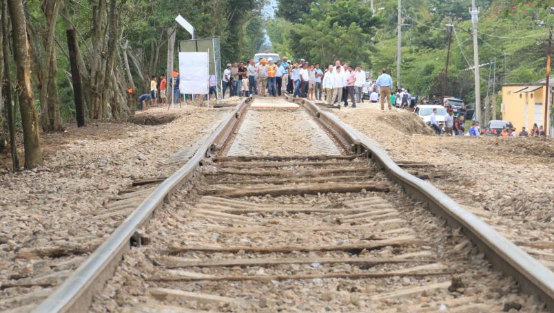 Derribarán más de 11 mil árboles para construir primeros tramos del Tren Maya