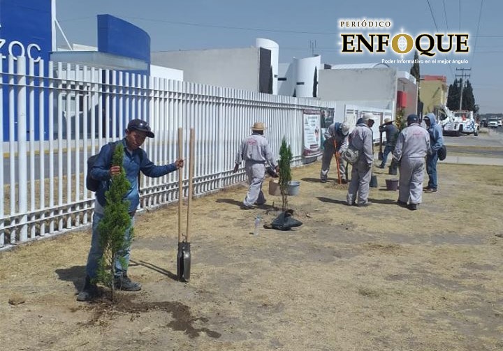 Amozoc impulsa la reforestación; 20 mil árboles en esta segunda etapa