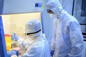 Investigadores
