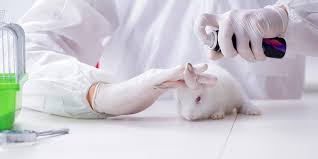 ¡Por fin! Senado prohibe uso de animales vivos en la producción de cosméticos