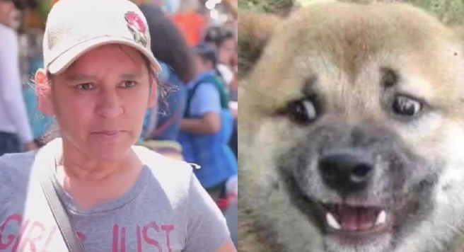 Señora confunde enfermedad de las Vacas Locas con la Vaca Lola y se viraliza (Video)