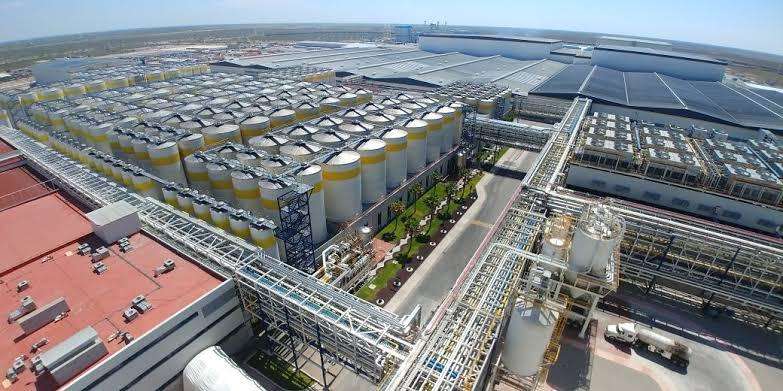 Acciones de Constellation Brands caen más 10% tras consulta de AMLO en Mexicali