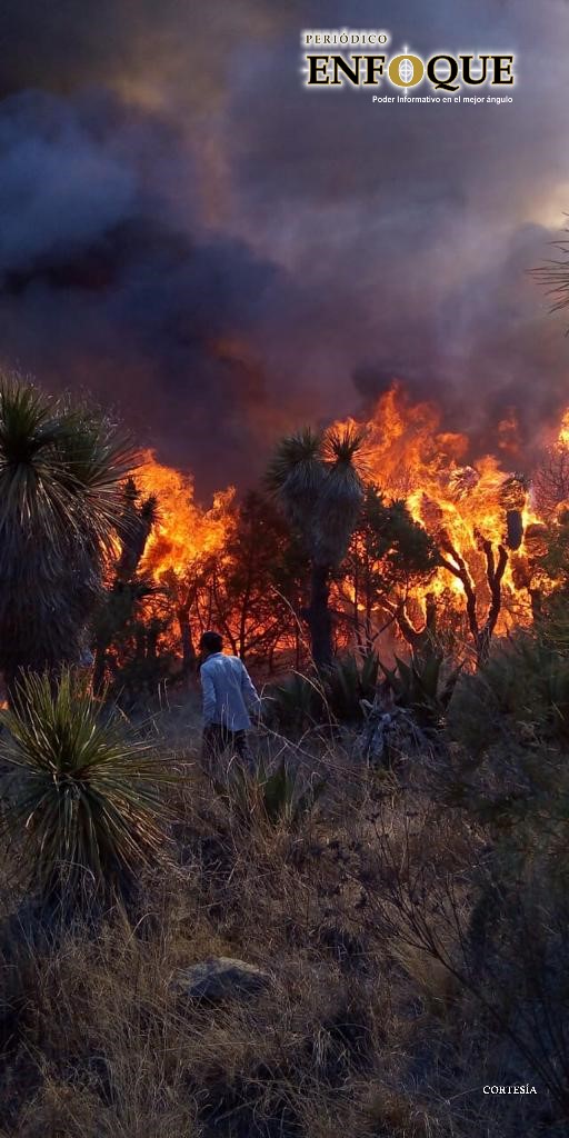 Tlaxcala es cuarto lugar en incendios forestales  