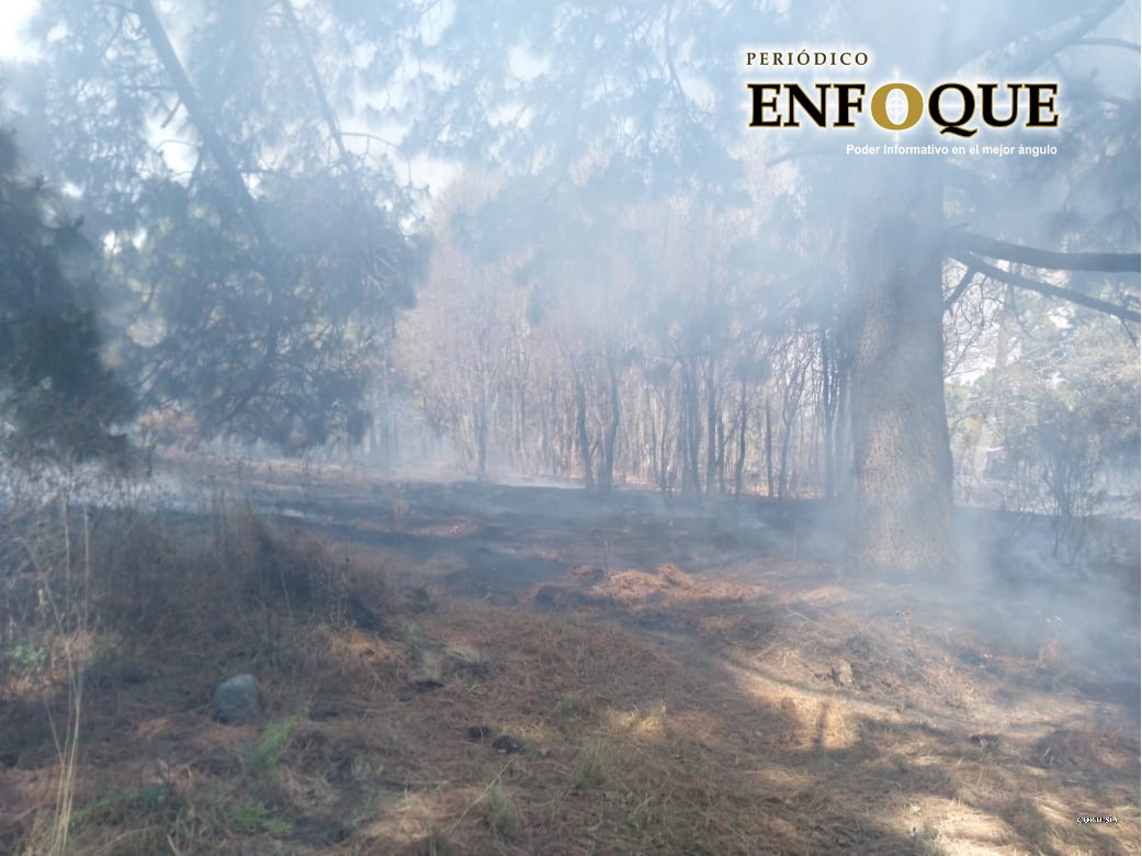 En tan solo tres meses, más de mil hectáreas afectadas por incendios forestales en Puebla