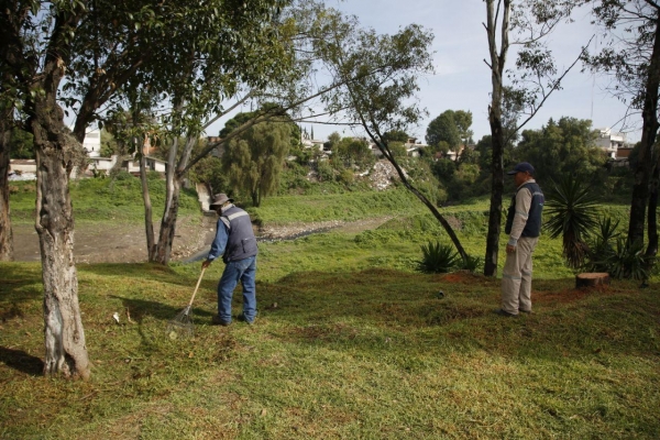 Gobierno de la Ciudad garantiza trabajos en materia de servicios públicos y seguimiento a demandas ciudadanas (Video) 