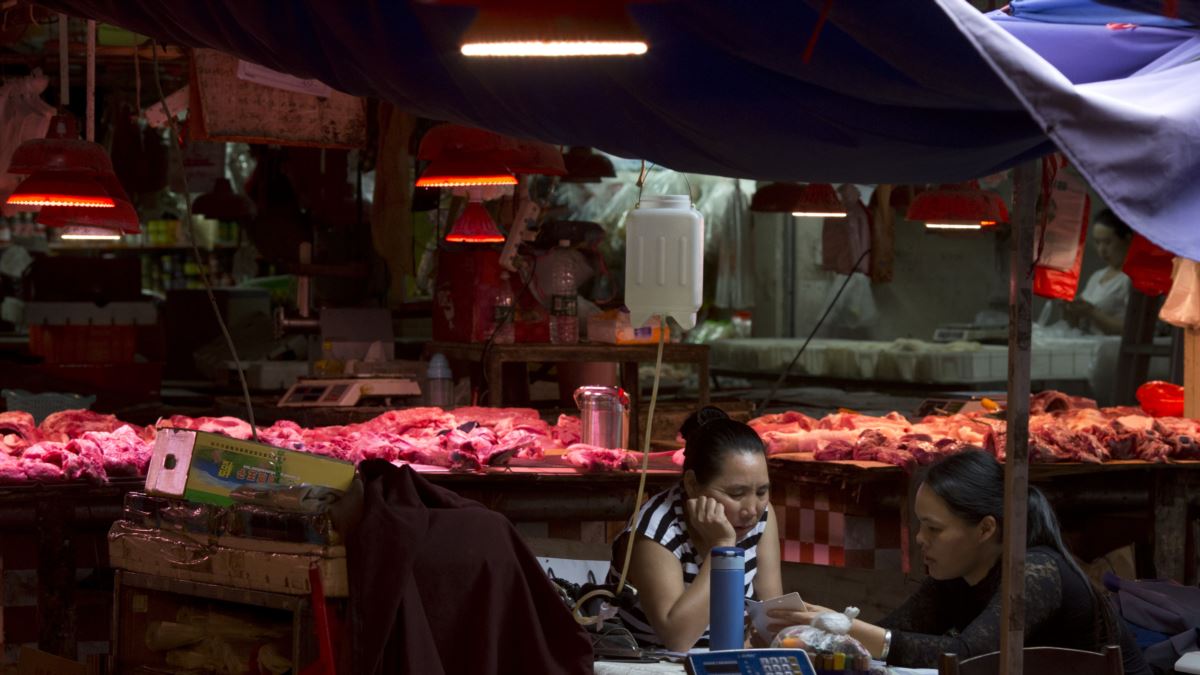 EU no ha dado evidencia de supuesto origen de coronavirus: OMS