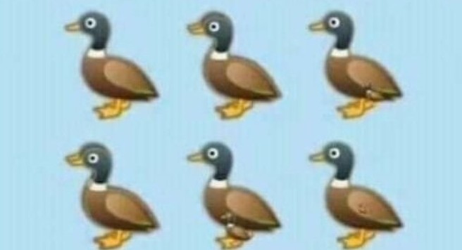 ¿Cuántos patos ves en la imagen? El nuevo reto que se hizo viral