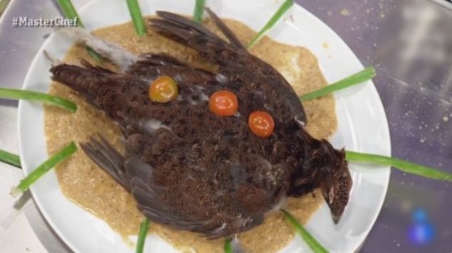 ¡El peor platillo del mundo!: Presentan un pájaro muerto y crudo en MasterChef (Video)